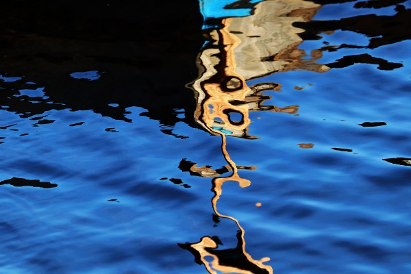 Gold In Motion II by Deb Oppermann